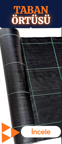 taban örtüsü